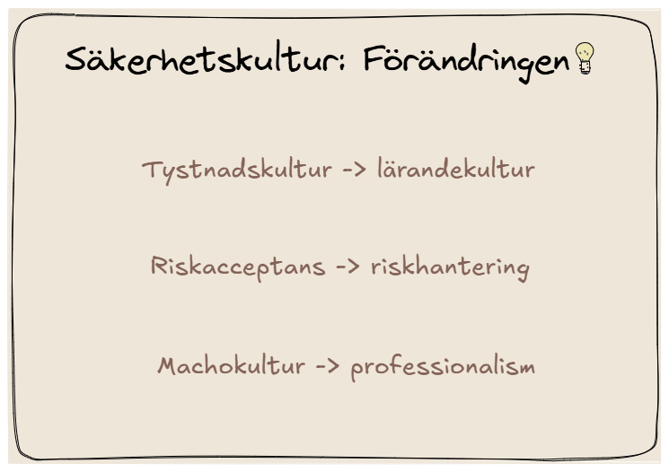 Säkerhetskultur är: lärandekultur, riskhantering och professionalism