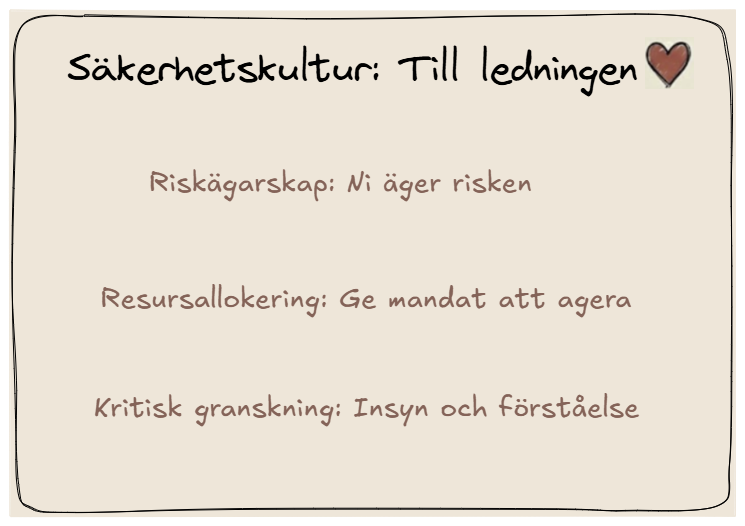 Ledningen tar riskägarskap, allokerar resurser och granskar cybersäkerheten